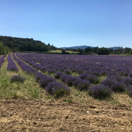 Le Cube Des Garrigues *