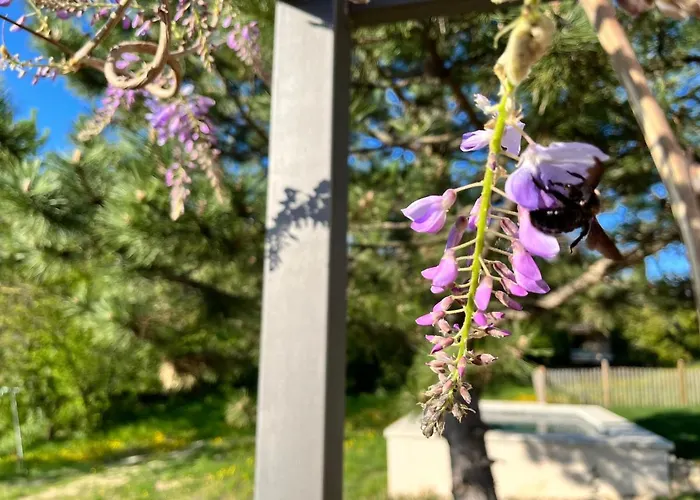 Le Cube Des Garrigues Ferienhaus