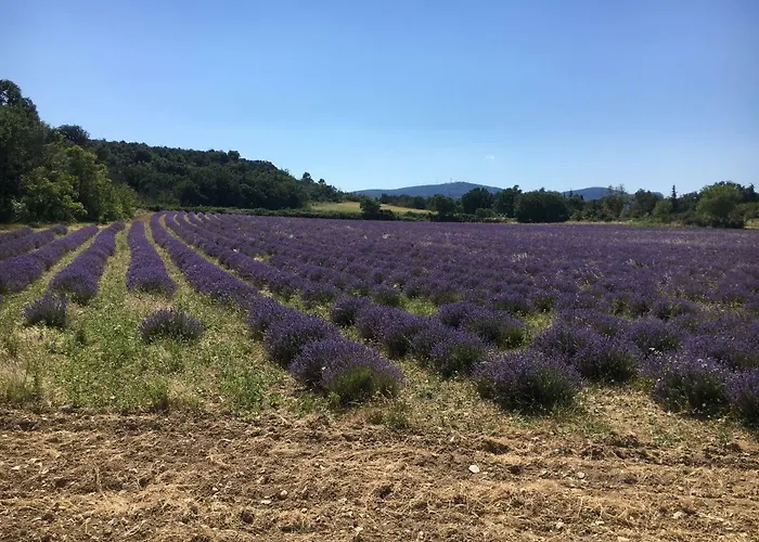 Le Cube Des Garrigues *